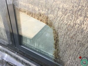 Ondergrond met hardnekkige asfaltresten, gedeeltelijk gereinigd door Chemifor voor een zichtbaar schoon resultaat.