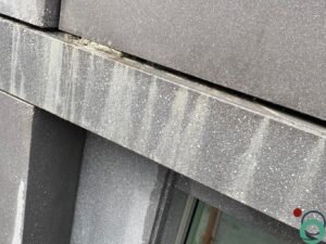 Donkere betongevel met witte kalkuitbloei en uitlopers onder dilatatievoeg