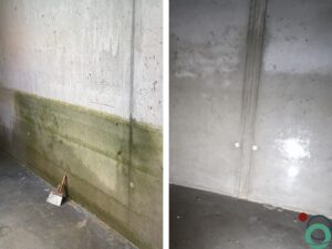 Voor- en nazicht van een betonnen kelderwand met groene aanslag en na volledige reiniging