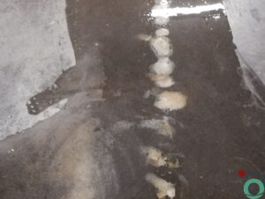 Kalkvlekken zichtbaar op een betonnen vloer in een industriële omgeving