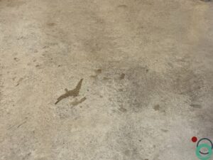 Betonvloer met egaal gereinigd oppervlak na verwijdering van vervuiling en resten