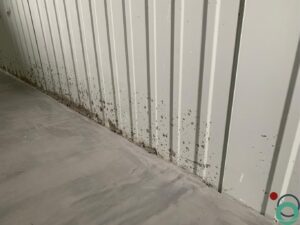 Cementspatten zichtbaar op lichte sandwichpanelen