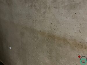 Groenaanslag zichtbaar op een betonnen muur en in behandeling voor verwijdering